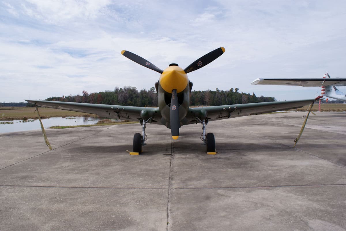 - Warbird