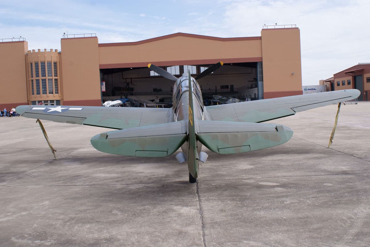 - Warbird