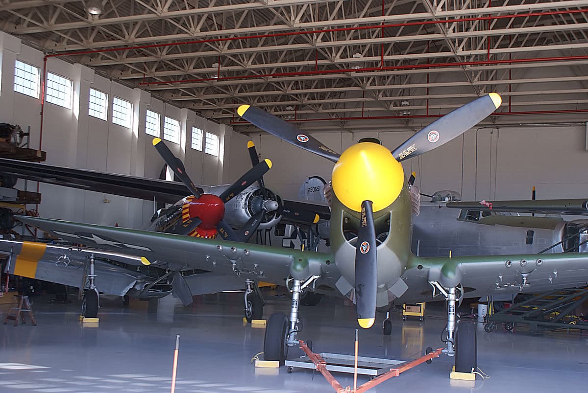 - Warbird