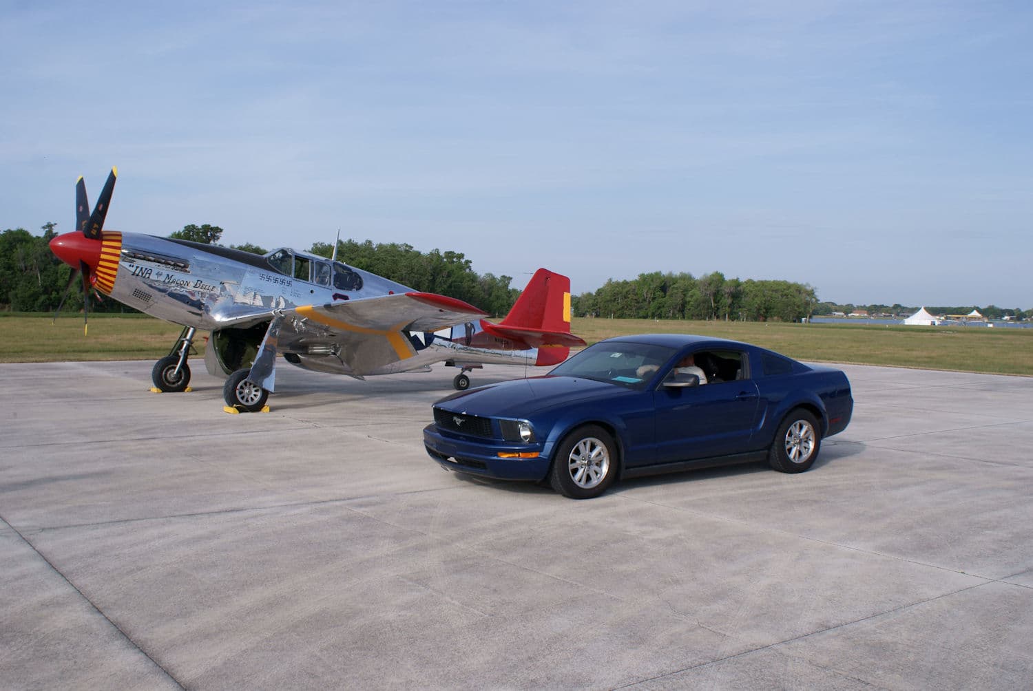 - Warbird