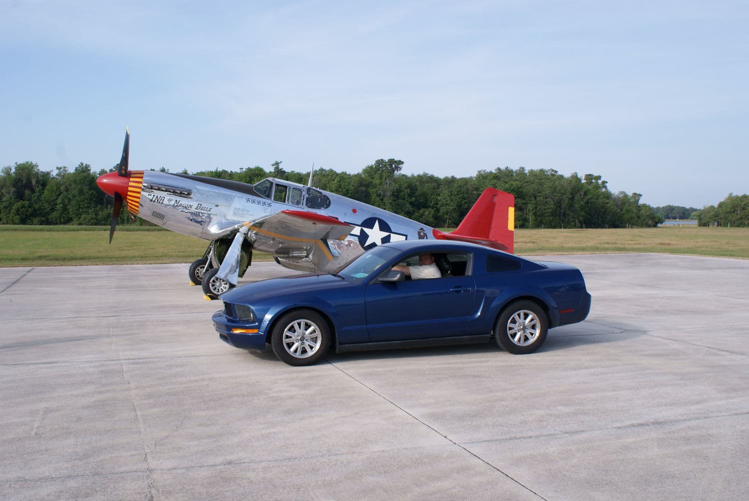- Warbird