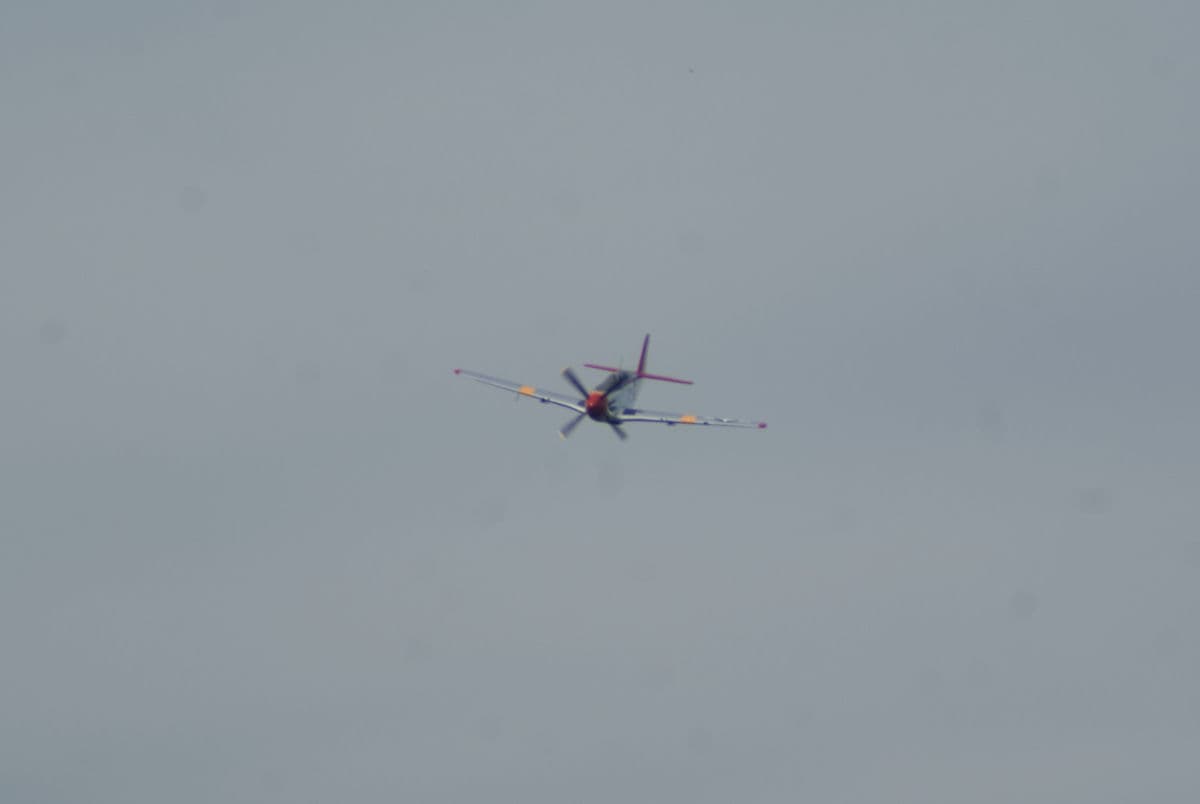 - Single-engine aircraft