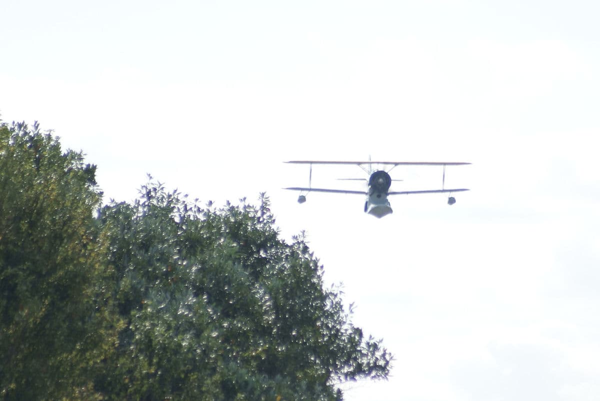 N1214N - Single-engine aircraft