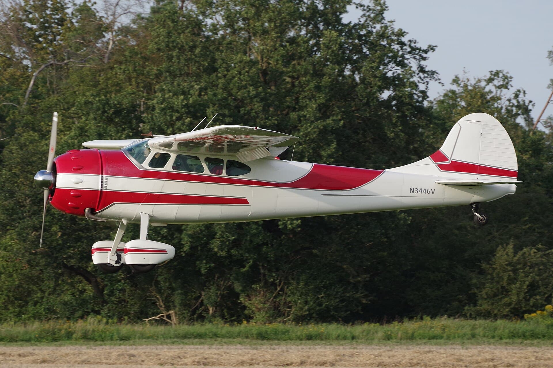 N3446V - Single-engine aircraft