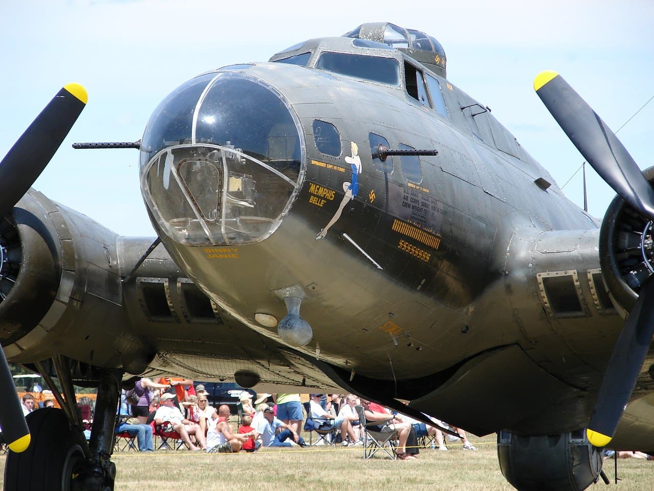 - Warbird