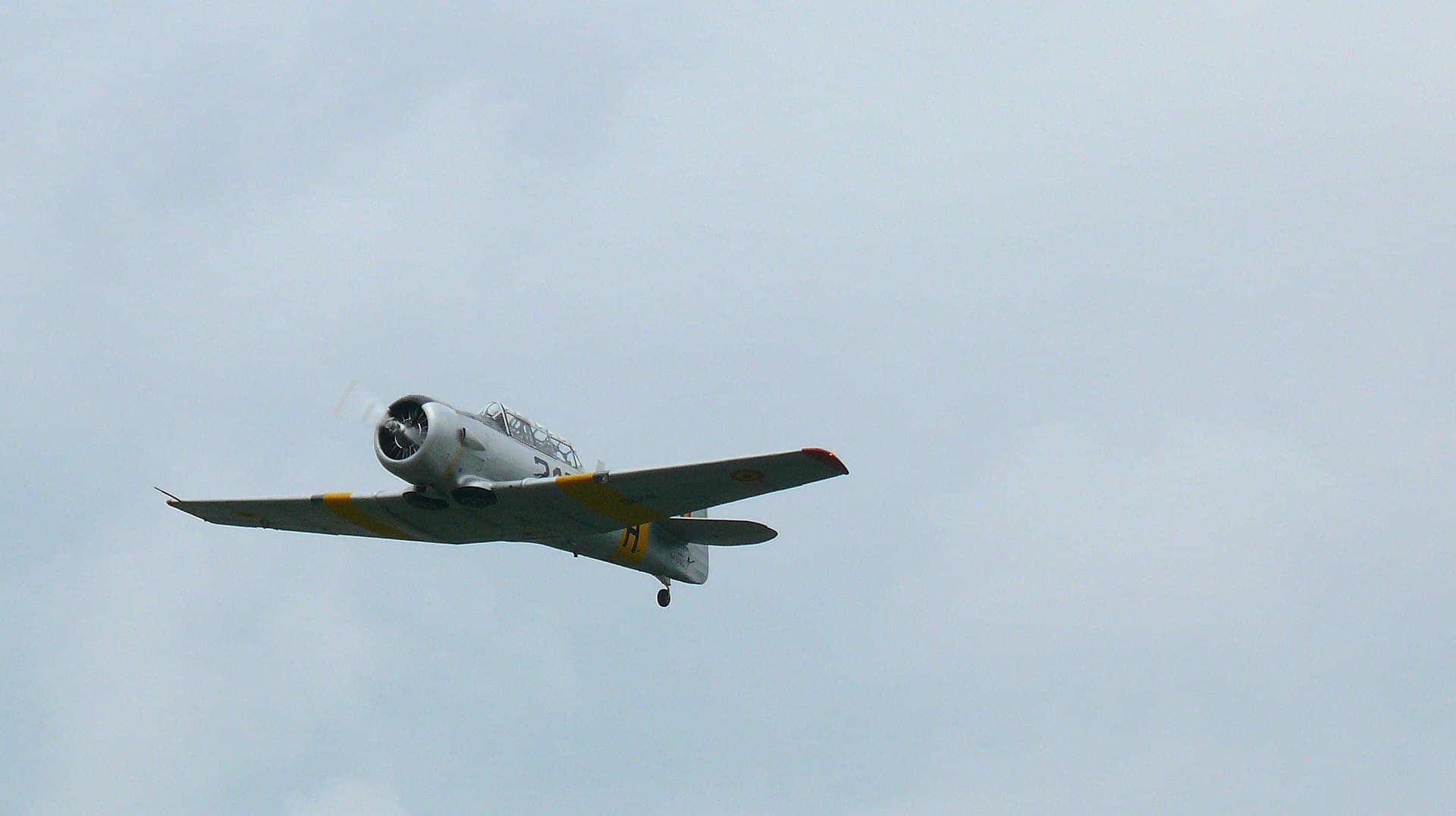 N4109C - Warbird