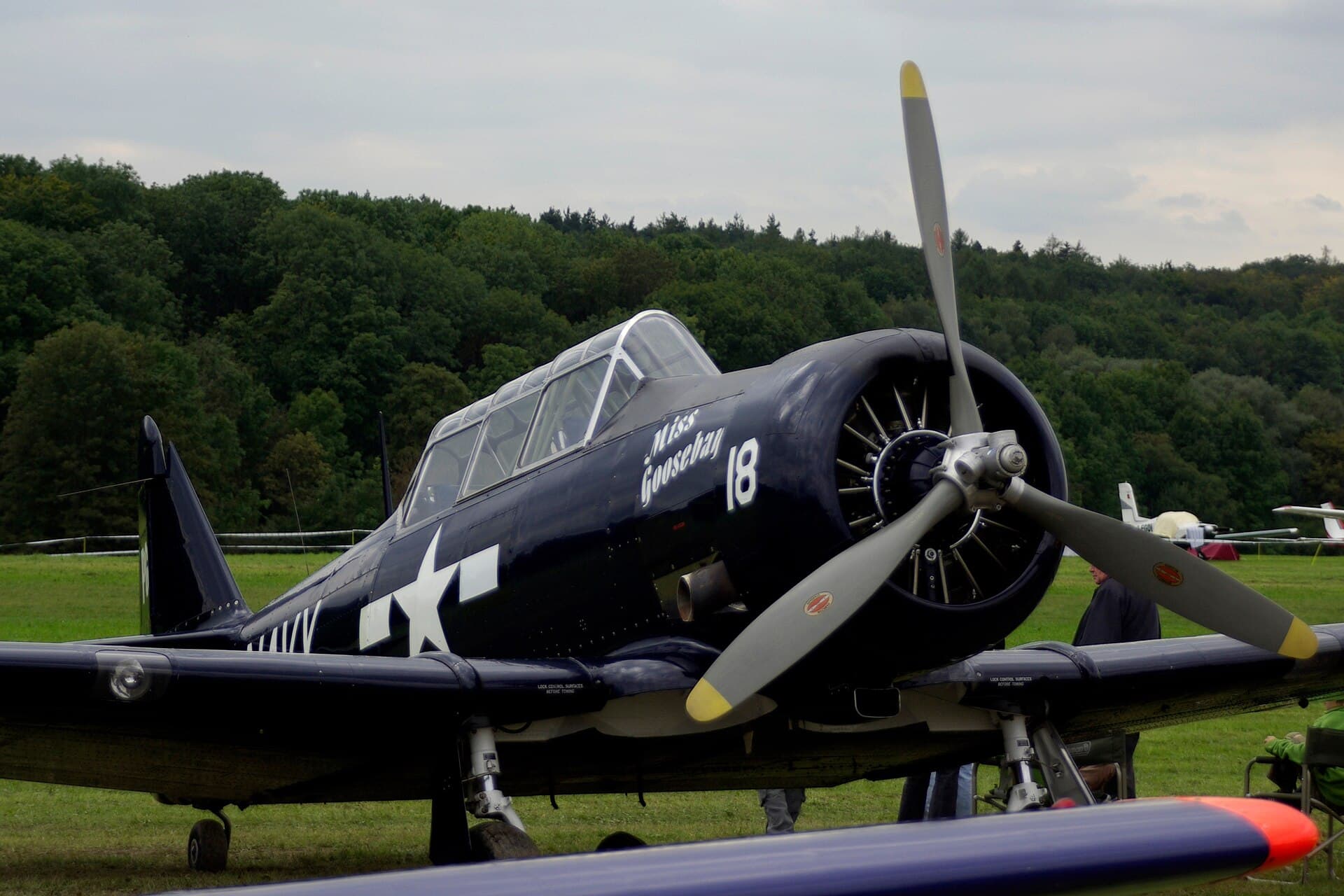 N6593D - Warbird