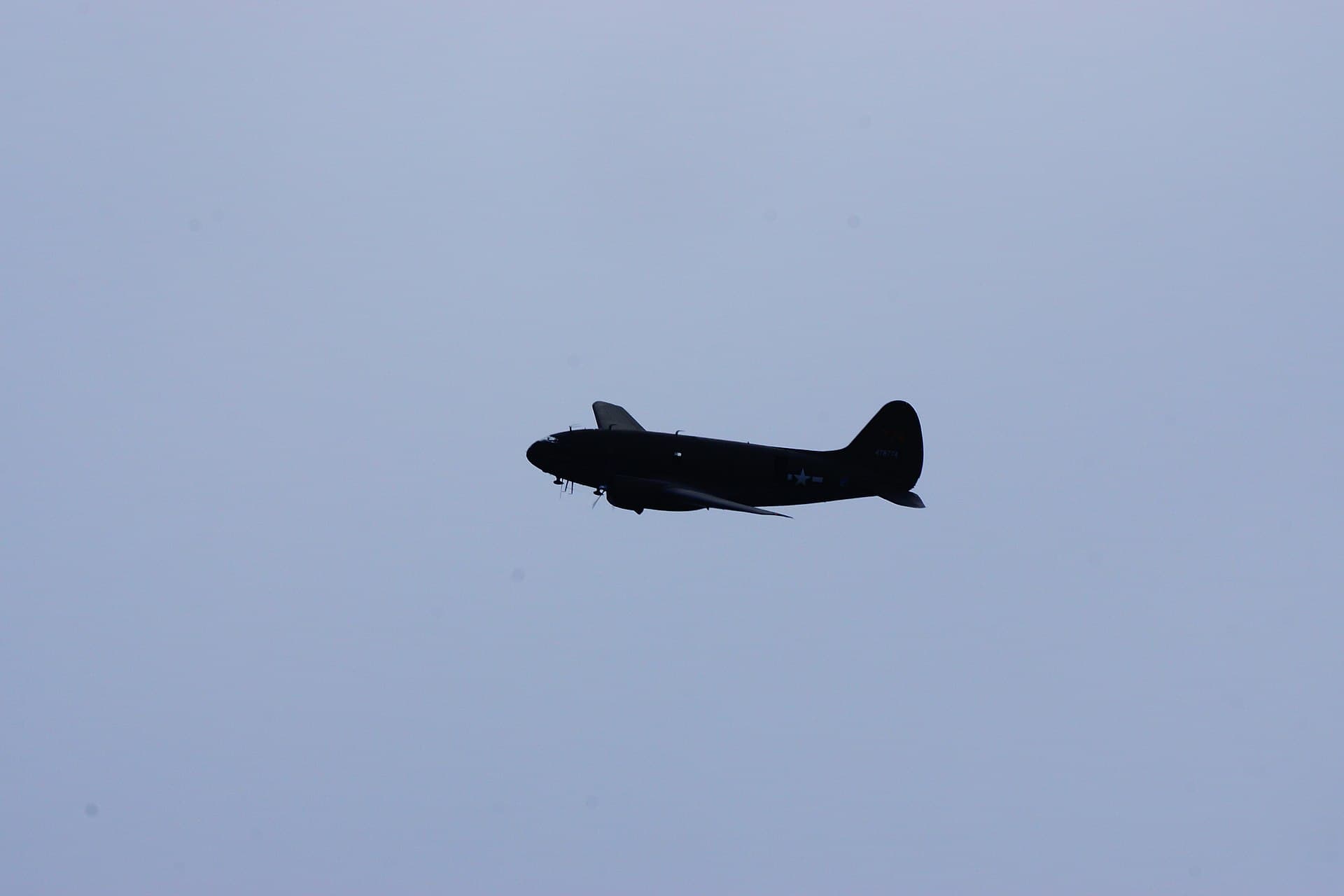 - Warbird